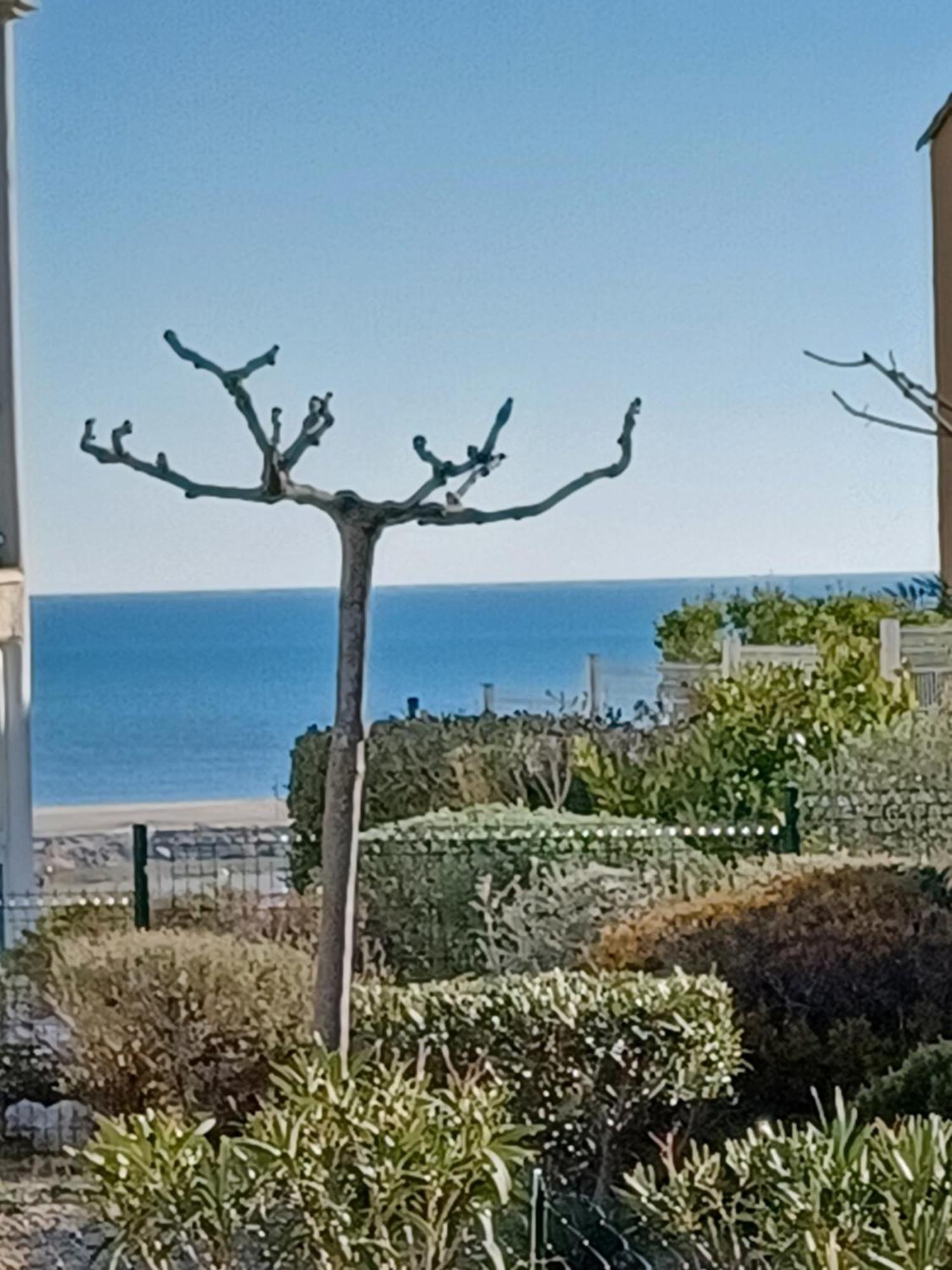 Plain-Pied Jardin 6 Personnes Clim Vue Mer Parking Wifi Terrasse Piscine Dans La Residence Saint-Pierre-la-Mer  Bagian luar foto