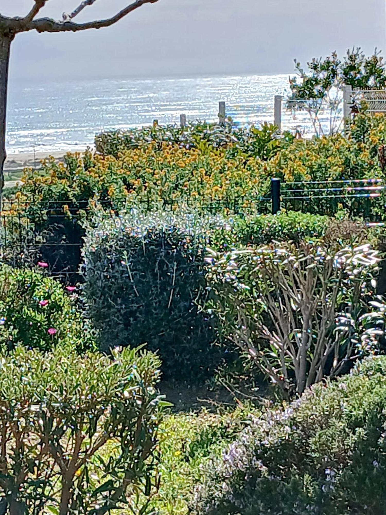 Plain-Pied Jardin 6 Personnes Clim Vue Mer Parking Wifi Terrasse Piscine Dans La Residence Saint-Pierre-la-Mer  Bagian luar foto