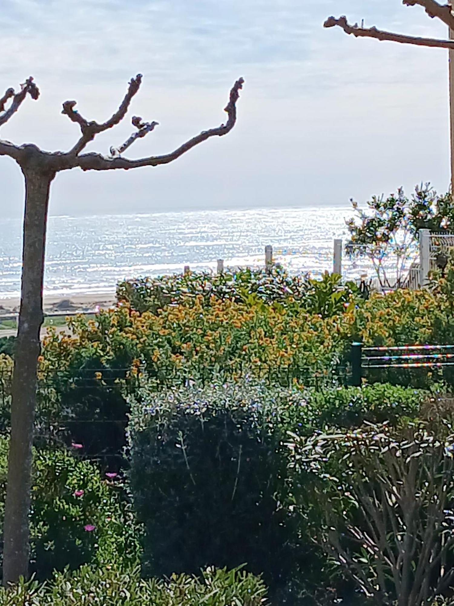 Plain-Pied Jardin 6 Personnes Clim Vue Mer Parking Wifi Terrasse Piscine Dans La Residence Saint-Pierre-la-Mer  Bagian luar foto